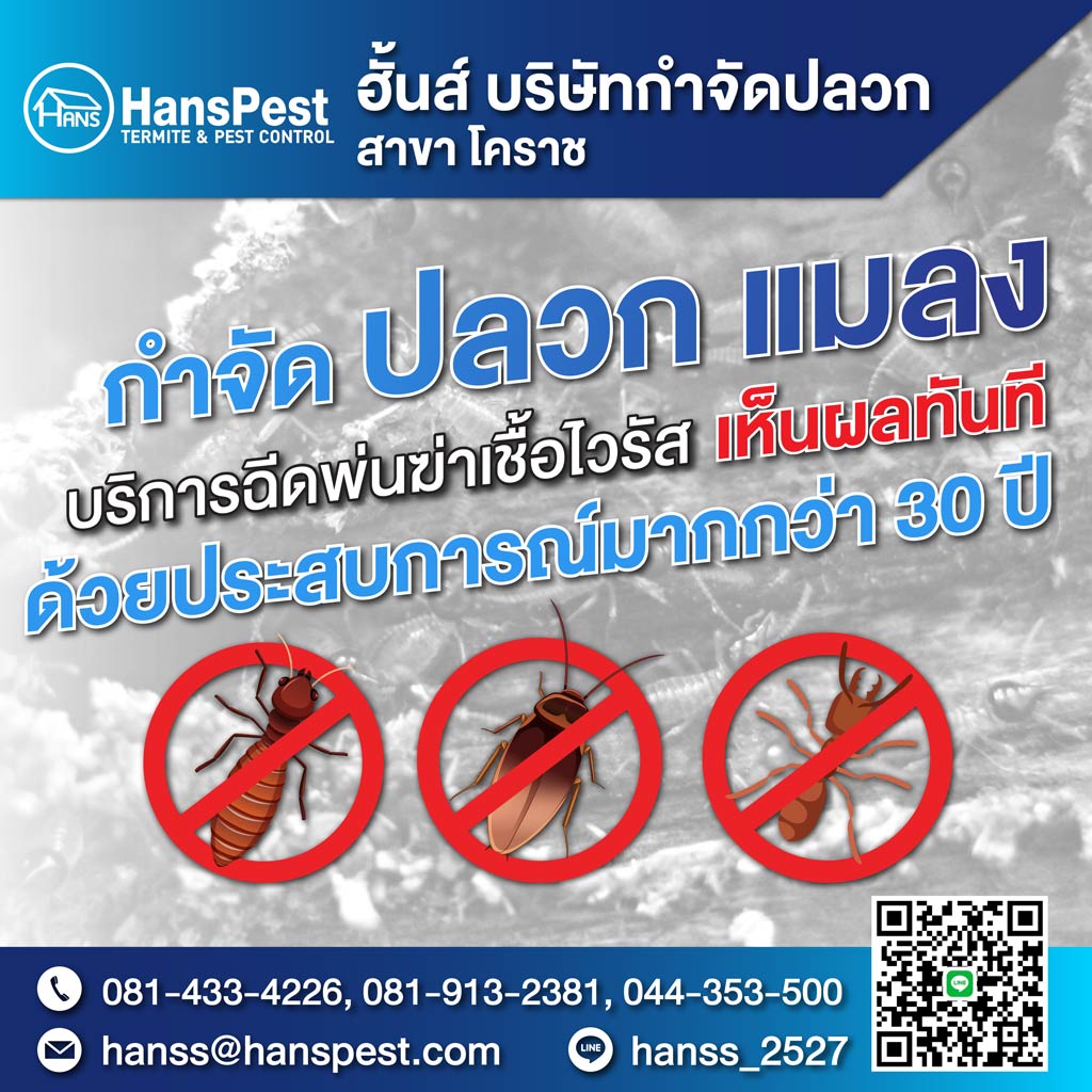 ฮั้นส์ กำจัดปลวก สาขาโคราช